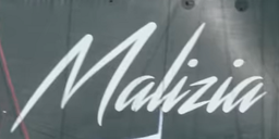 Malizia logo